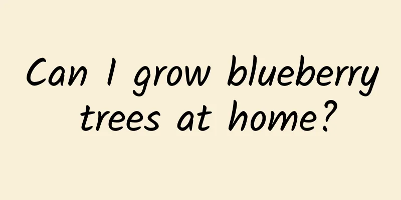 Can I grow blueberry trees at home?