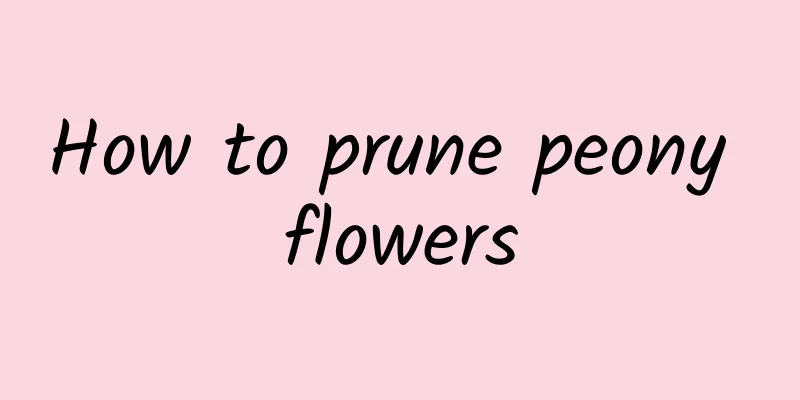 How to prune peony flowers