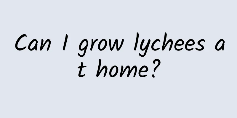 Can I grow lychees at home?