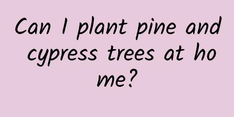 Can I plant pine and cypress trees at home?