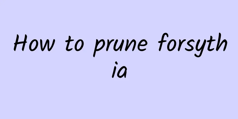 How to prune forsythia