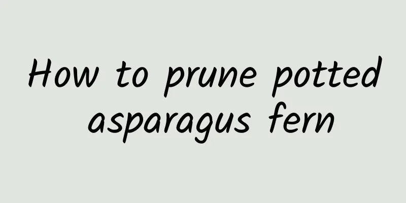 How to prune potted asparagus fern