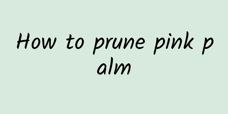 How to prune pink palm