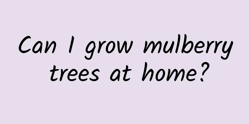 Can I grow mulberry trees at home?