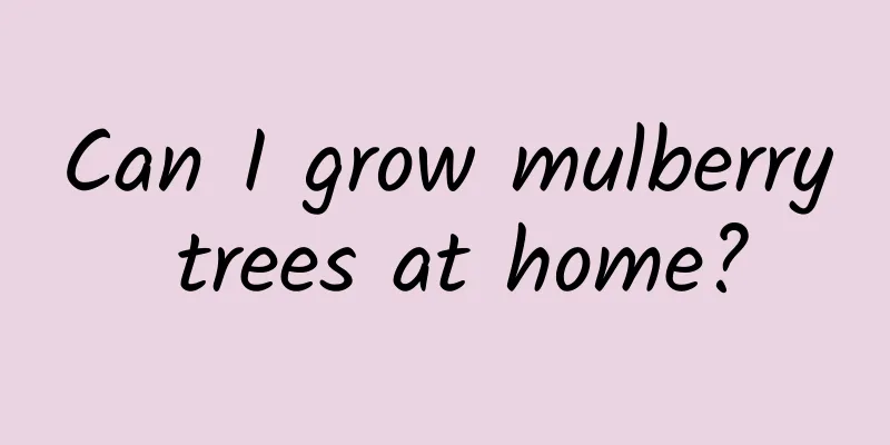 Can I grow mulberry trees at home?