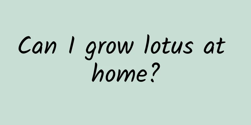 Can I grow lotus at home?