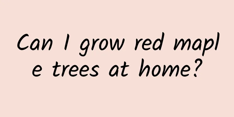 Can I grow red maple trees at home?