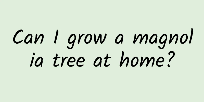Can I grow a magnolia tree at home?