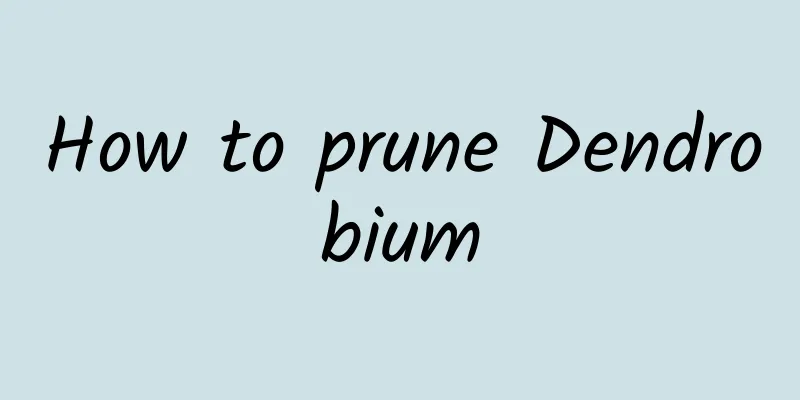 How to prune Dendrobium