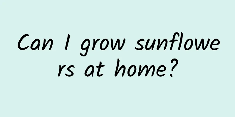 Can I grow sunflowers at home?