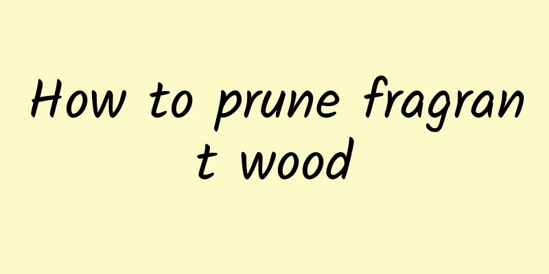 How to prune fragrant wood