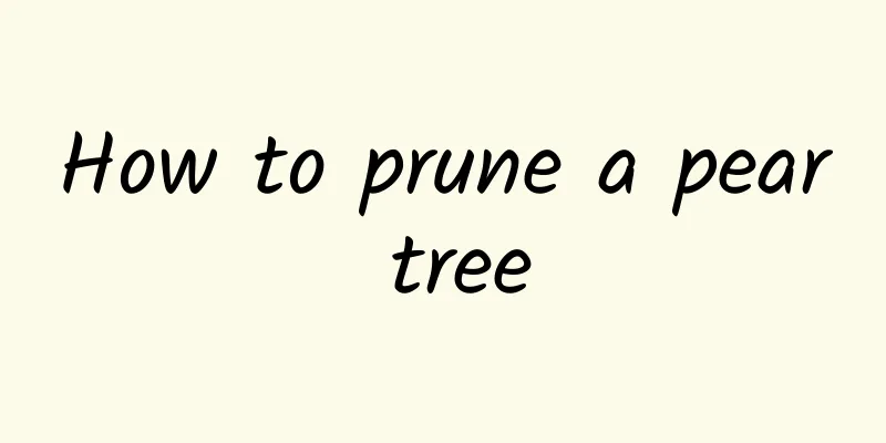 How to prune a pear tree
