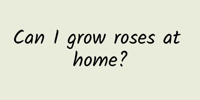 Can I grow roses at home?