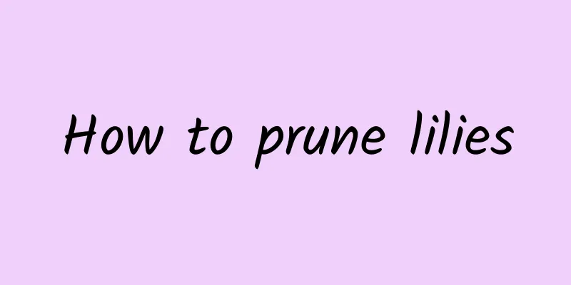 How to prune lilies