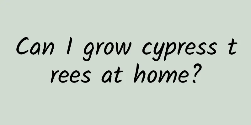 Can I grow cypress trees at home?