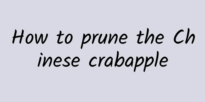 How to prune the Chinese crabapple