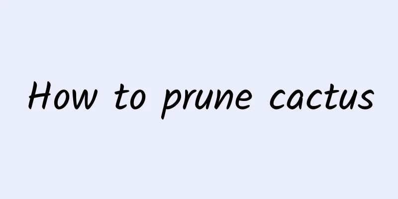 How to prune cactus