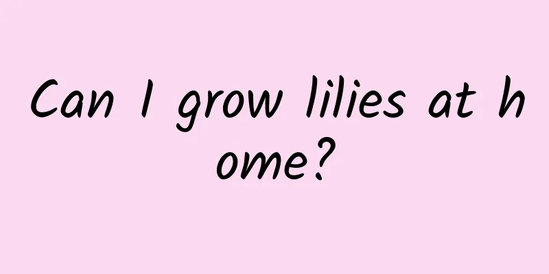 Can I grow lilies at home?