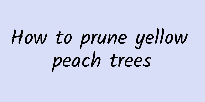 How to prune yellow peach trees