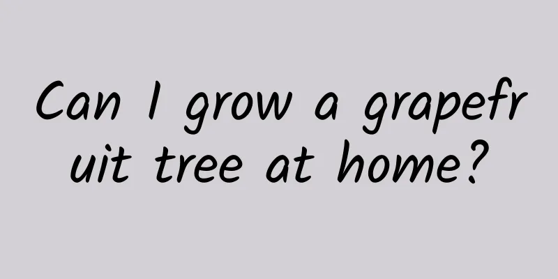 Can I grow a grapefruit tree at home?
