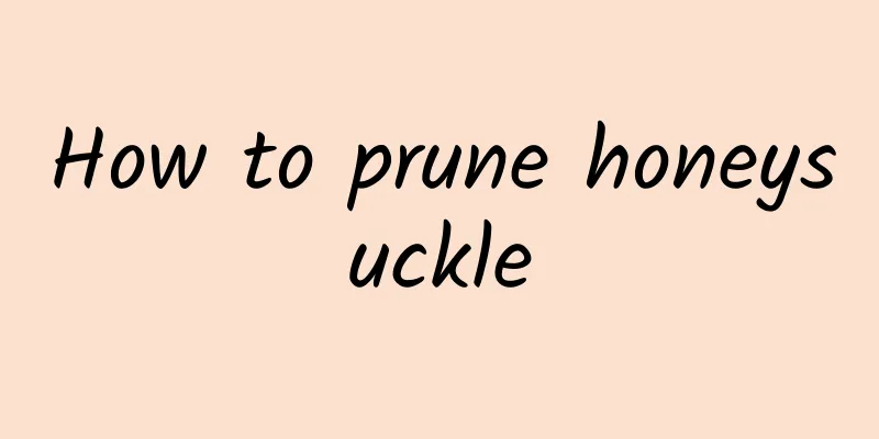 How to prune honeysuckle
