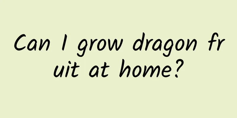 Can I grow dragon fruit at home?