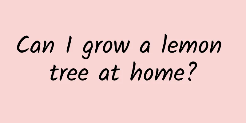 Can I grow a lemon tree at home?