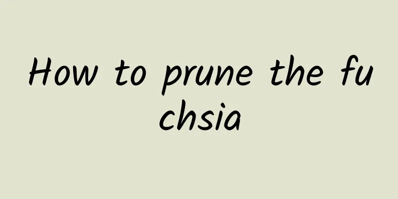 How to prune the fuchsia