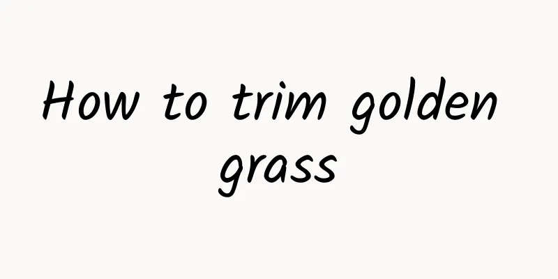 How to trim golden grass