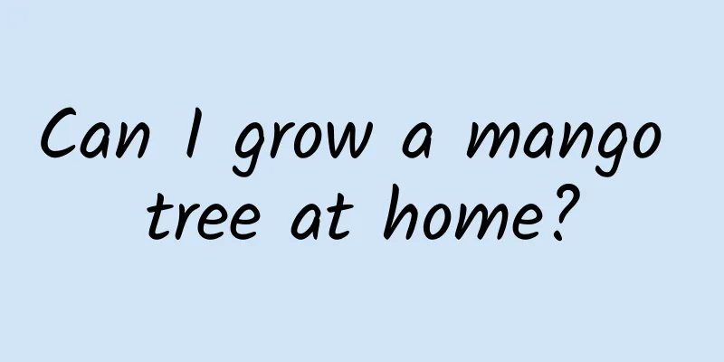 Can I grow a mango tree at home?