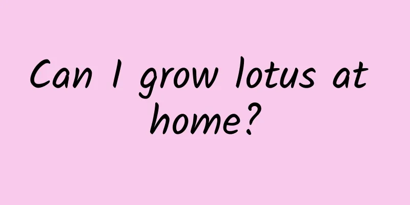 Can I grow lotus at home?