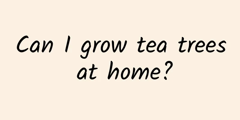 Can I grow tea trees at home?