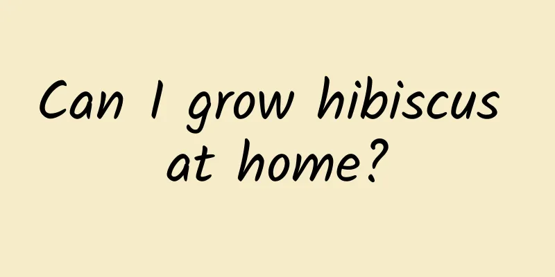 Can I grow hibiscus at home?