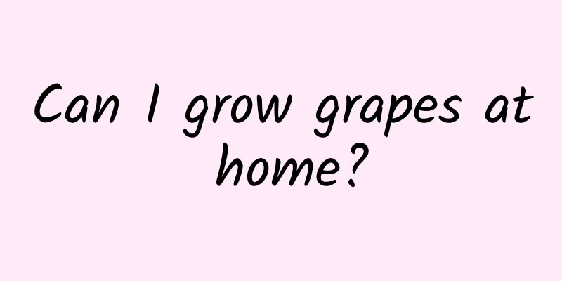 Can I grow grapes at home?
