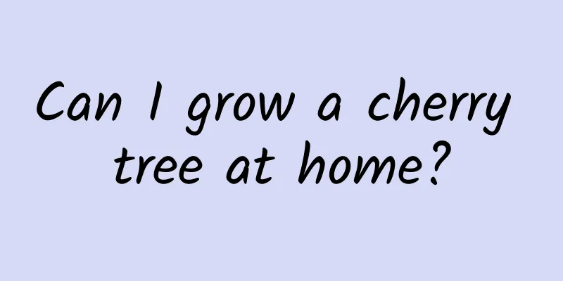 Can I grow a cherry tree at home?