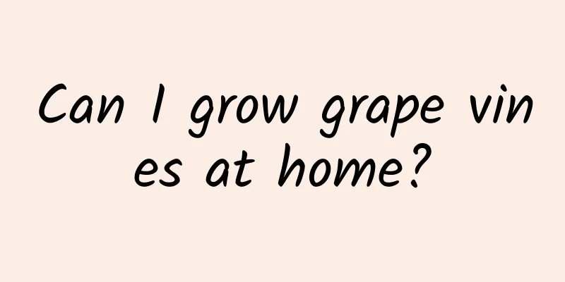 Can I grow grape vines at home?