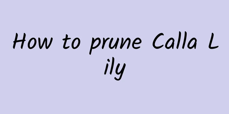 How to prune Calla Lily