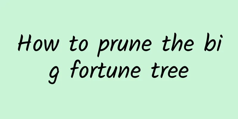 How to prune the big fortune tree