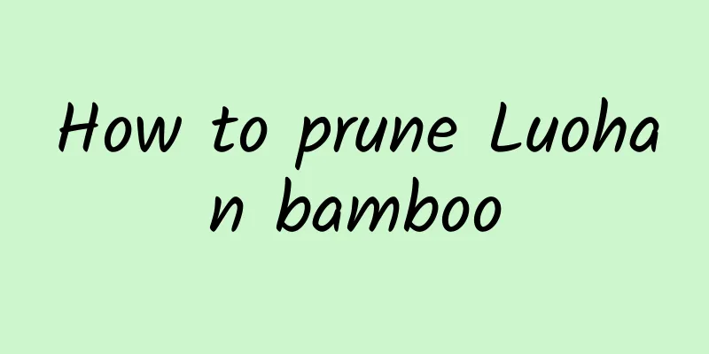 How to prune Luohan bamboo