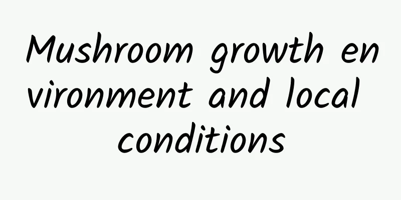 Mushroom growth environment and local conditions