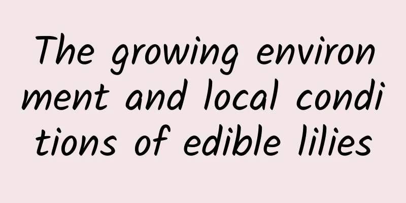 The growing environment and local conditions of edible lilies