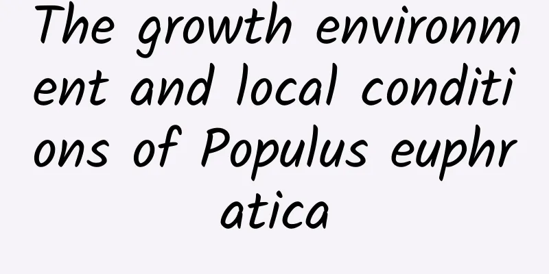 The growth environment and local conditions of Populus euphratica
