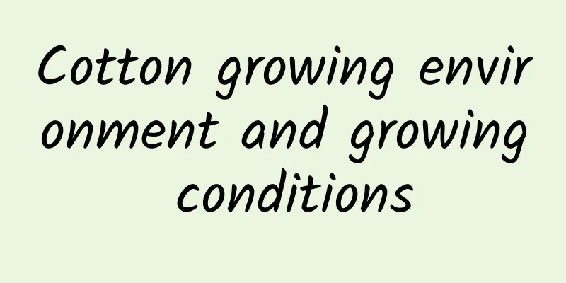 Cotton growing environment and growing conditions