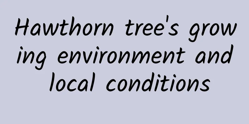 Hawthorn tree's growing environment and local conditions