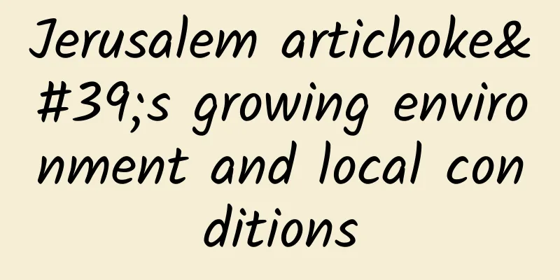 Jerusalem artichoke's growing environment and local conditions