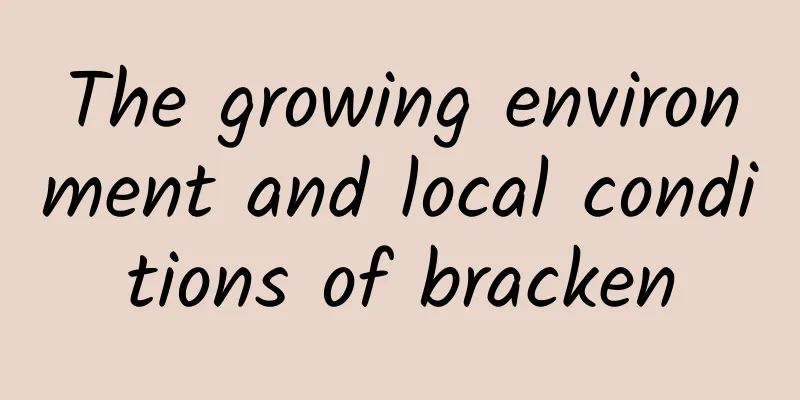 The growing environment and local conditions of bracken