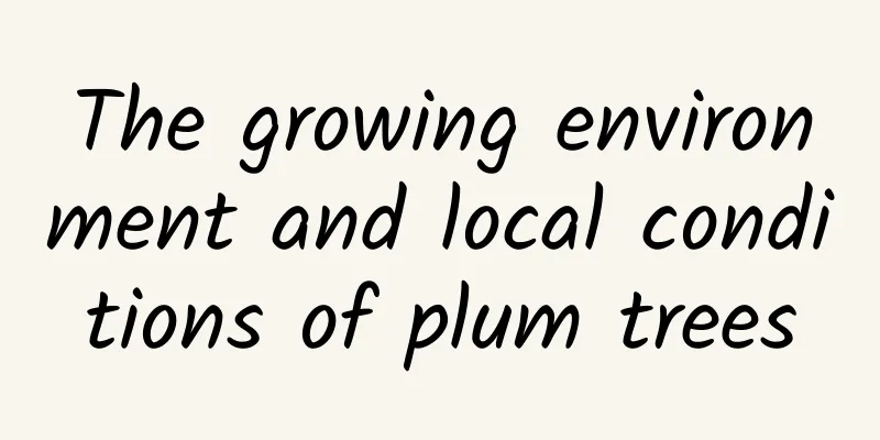 The growing environment and local conditions of plum trees
