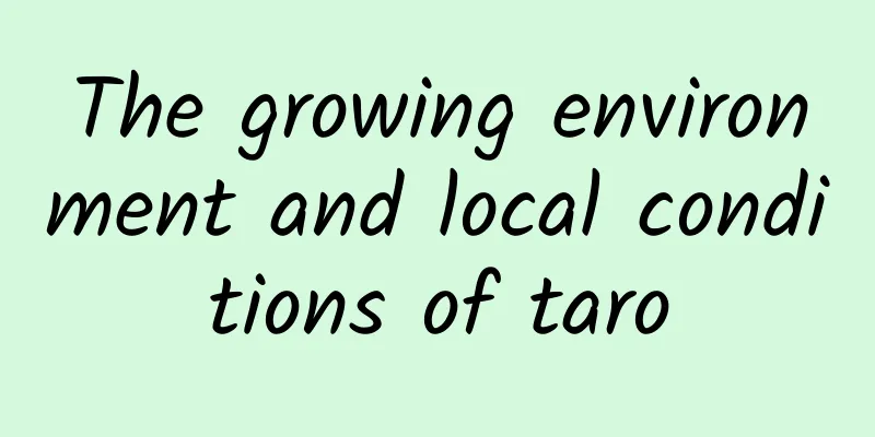 The growing environment and local conditions of taro