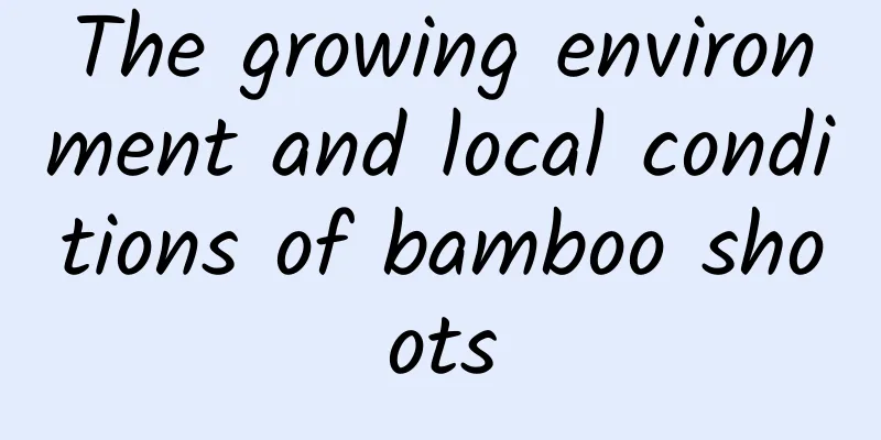 The growing environment and local conditions of bamboo shoots