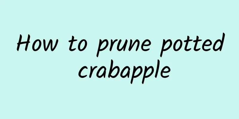 How to prune potted crabapple